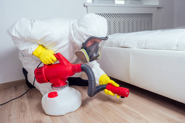 Best Affordable Pest Control Services  in Bray, OK