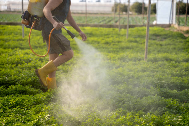 Best Best Pest Control Companies  in Bray, OK