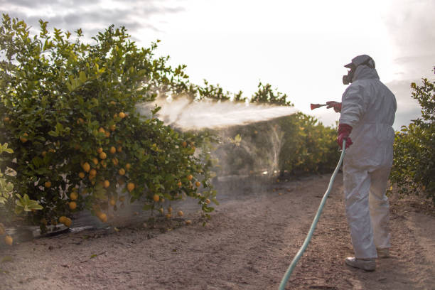 Best Cockroach Control Services  in Bray, OK
