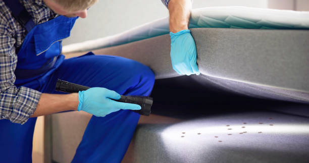 Best Pest Prevention Services  in Bray, OK