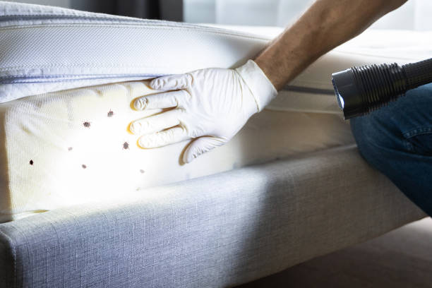 Professional Pest Control in Bray, OK