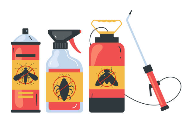 Best Termite Control Services  in Bray, OK