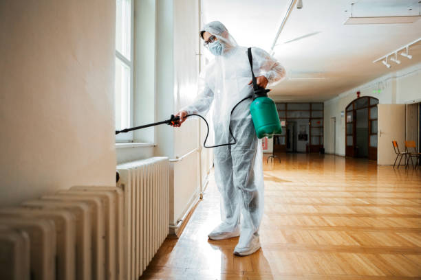 Best Emergency Pest Control  in Bray, OK