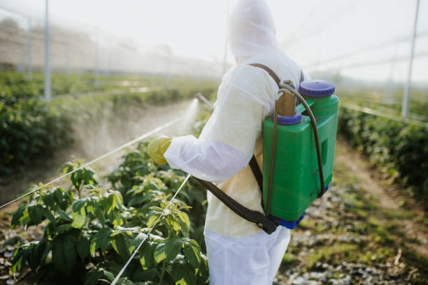 Best Mosquito Control Services  in Bray, OK